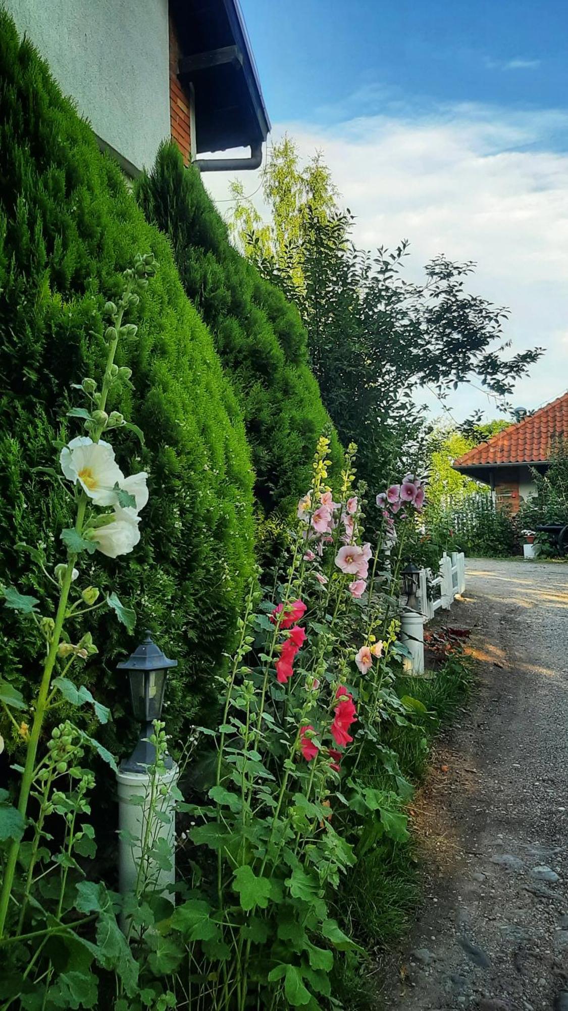 شقة Straznica Komtura Mikołajki المظهر الخارجي الصورة